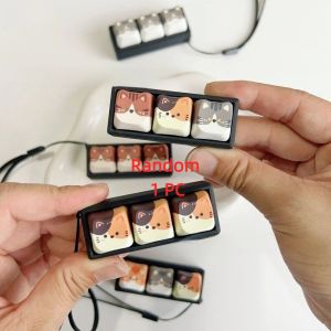 YUDESHUI 2/3/4/6/9 Phím  dây chuyền đồ chơi giảm căng thẳng Bàn phím Cơ khí Móc khóa hình mèo Thư giãn Nút bấm ngón tay Chìa khóa móc khóa giúp thư giãn Trẻ em Người lớn