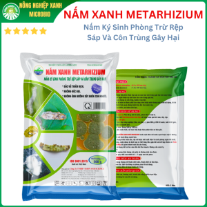 Nấm Xanh Metarhizium - Nấm Ký Sinh Phòng Trừ Rệp Sáp Và Côn Trùng Gây Hại