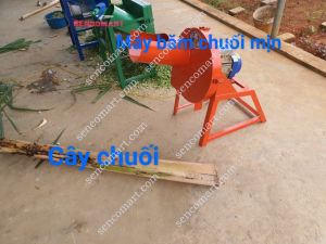 Máy Xay Chuối Nguyên Cây Nhỏ Nhuyễn Công Suất 2HP