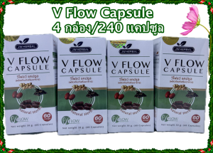 V Flow ผลิตภัณฑ์วีโฟลว์ (Premium Herbal Product) แพ็คเกจ 4 กระปุก 240 แคปซูล
