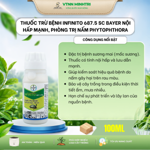 Infinito 687.5 SC Bayer – Thuốc trừ bệnh đặc trị sương mai mốc sương nội hấp mạnh bảo vệ cây trồng hiệu quả