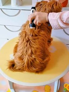 AUelectric clippers dog and cat grooming clippers pet hair trimmers electric grooming clippers