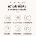 THN ที่นอน 3.5ฟุต 5 ฟุต 6 ฟุต เบาะรอง เบาะรองนอน แก้ปวดหลัง ทนทาน พับเก็บได้ หนา แบบนุ่มสบาย ผ้ากันไรฝุ่นCOD. 