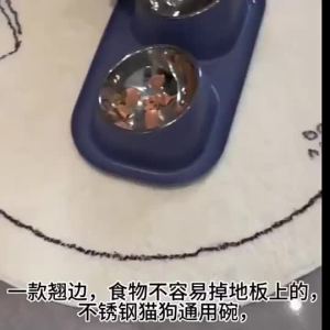 Bowl Cat Dog Stainless Steel Double Bowl 15° Tilted Non-slip  Food Water Feeding Bowl Kucing