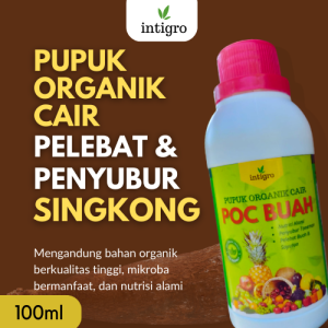 Pupuk Booster Untuk Singkong / Pupuk Pembesar Ubi Singkong / Pupuk Singkong Cepat Besar Ubi Kayu