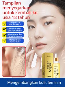 Esensi Ginseng Emas Anti-Penuaan/Ekstrak Ginseng Korea Premium/Perawatan Wajah Pengencang dan Pengencang