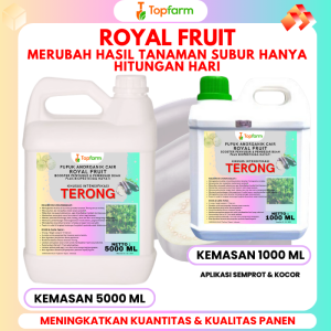 Pupuk Pelebat Buah Terong / Pupuk Pelebat Buah Terong Lalap / Pupuk Pelebat Buah Terong Ungu / Pupuk Buah Terong Berbuah Lebat / Pupuk Pelebat Buah Terong Hijau / Pupuk Terong / Pupuk Terong Daun Menguning