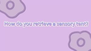 กระโจมสัมผัสสำหรับเด็กแบบพับได้ กระโจมกันแสงสำหรับเด็กที่มีออทิสติกและสมาธิสั้น มุมสงบพร้อมของเล่นเสริมพัฒนาการ พร้อมหน้าต่างตาข่าย เหมาะสำหรับเด็กที่มีความต้องการพิเศษในด้านสัมผัส