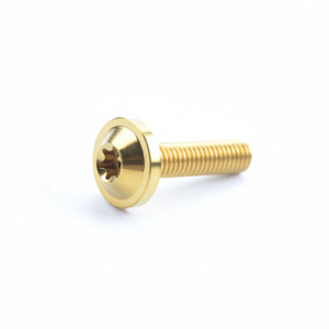 ADDO M6x15 Titanium Bolts M6x10 M6x20 T30 Torx Bolts High Quality with Torx Head Torx Head Screws
