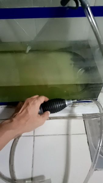Buyer review video 6