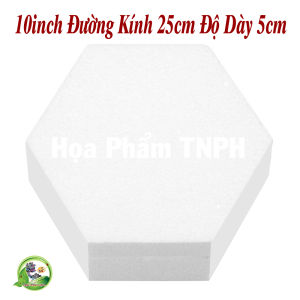 Mô Hình Bằng Xốp Lục Giác 6 Cạnh Thanh Lịch Màu Trắng Nhiều Size Không Thấm Nước Dùng Làm Khuân Mẫu Bánh Kem Trang Trí Lễ Cưới Valentin Sinh Nhật Phòng Tiệc Kê Giỏ Quà Làm Tráp Ăn Hỏi Decor Chụp Hình Tuyệt Đẹp