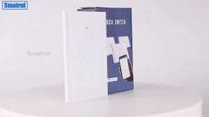 SMATRUL Wifi Smart Wall Switch Rf433mhz (No Neutral) Compatible With  Home &  Alexa 110v-250v