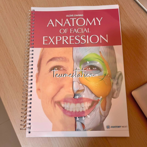 Anatomy for Sculptors: Understanding the Human Figure