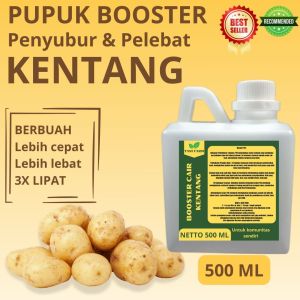 Pupuk Pelebat Kentang / Pupuk Umbi Kentang / Pupuk Booster Kentang / Pupuk Kentang