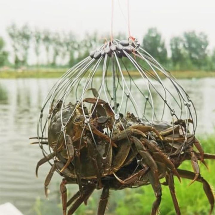 Automatic Opening & Closing Fishing Net Cage Fishing Crab Trap Net Wire ...