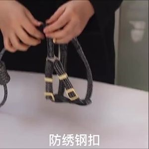 2026 Hot Sale [ Shipped from China ] Manufacturers new adjustable dog leash for medium and large dogs bite-resistant and anti-shock B3
