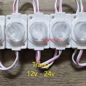 Led Rọi 1 Mắt Siêu Sáng - LED RỌI 1.5W Mắt Lồi Siêu Sáng - Đèn LED Mắt Trâu 1.5W Siêu Sáng 12v - 24v (vỉ 20 bóng)