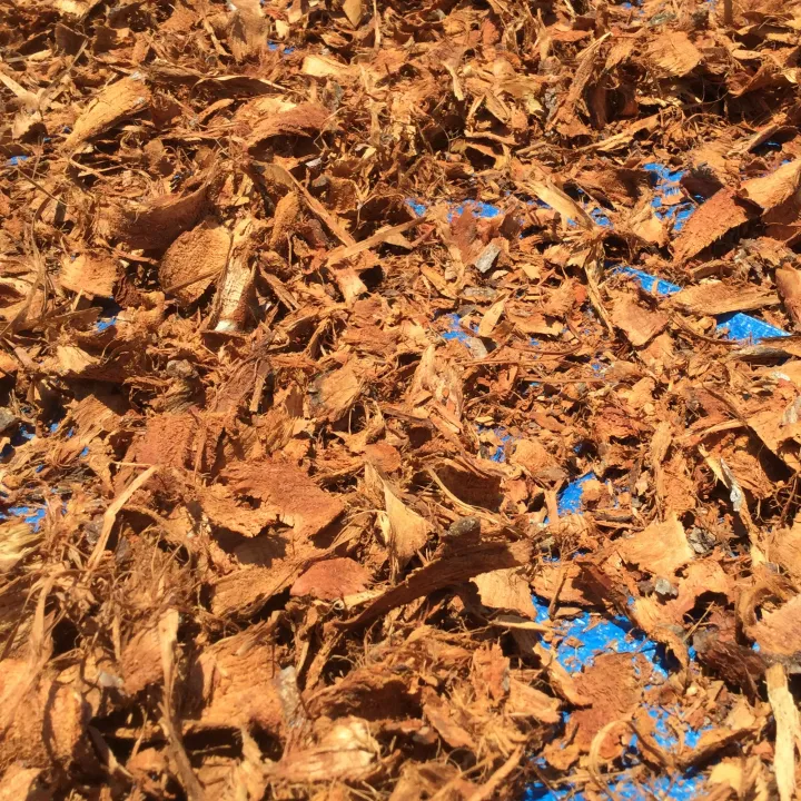 V%E1%BB%8F%20G%C3%B2n%20Gai%20-%20Image%203