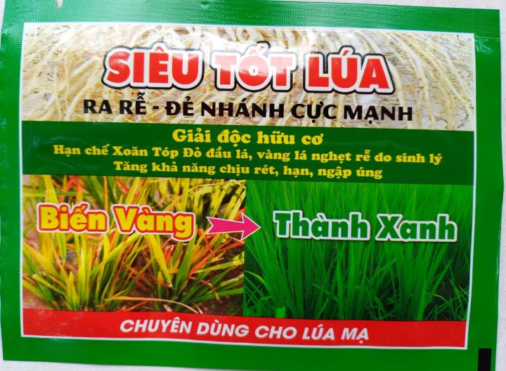 phân bón SIÊU TỐT LÚA BIẾN VÀNG THÀNH XANH ra rễ để nhánh cực mạnh ...