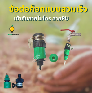 ข้อต่อสวมเร็ว 4 -6หุน ชุดต่อก๊อกน้ำทั่วไป แบบสวมเร็ว ข้อต่อสวมเร็ว เข้ากับสายไมโคร สายPu สวมสวมสายยางไมโคร4/7 8/11 รดน้ำต้นไม้ พ่นหมอก ร้าน omam Realoffi
