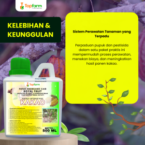 Pupuk Topfarm / Pestisida Topfarm / Pupuk Khusus Tanaman Kakao / Pupuk Pelebat Buah Kakao / Pupuk Kakao Terbaik / Obat Hama Kakao Paling Ampuh / Obat Hama Tanaman Kakao / Obat Fungisida Tanaman Kakao