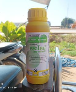 เฮดไลน์ 250 ml. ไพราโคลสโตรบิน กำจัดโรคพืช โรคใบไหม้แผลใหญ่ ยางไหล โรคใบจุดสีม่วง โรคแอนแทรคโนส