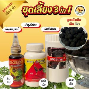 ชุดเลี้ยง 3 in 1 ขนาดจัมโบ้ ลูกกลอน ทองแดง เวย์ไก่