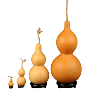 Quả hồ lô tự nhiên nguyên cuống bày ban thờ cầu tài lộc may mắn cầu con ( hàng có sẵn)