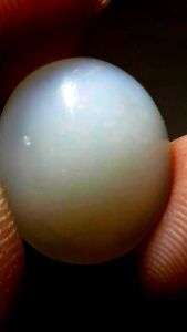 batu kalimaya susu banten asli jumbo murah