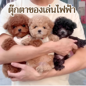 ของเล่นสัตว์เลี้ยง เดิน สัตว์เลี้ยงจําลอง ไฟฟ้า ถอดออกได้และล้างทําความสะอาดได้ รีโมท กลุ่มผู้บริโภค