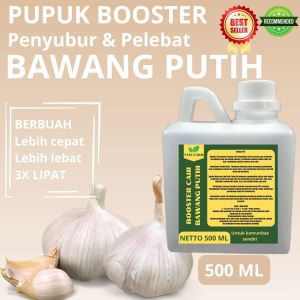 Pupuk Pelebat Bawang Putih / Pupuk Bawang Putih / Pupuk Booster Bawang Putih / Pupuk Bawang Putih