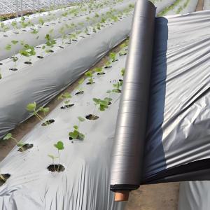 【COD】Garden Black Plastic Mulch Film 80cm x 600m Weeding Thermal Insulation Agricultural Film 1 Roll
