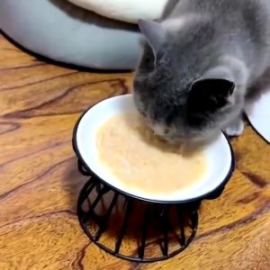 YOUYITIAOYU Pet Ceramic Bowl Anti Vomiting Cat Bowl Elevated Dog Feeder With Stand Fixed Heightened Rack Protect