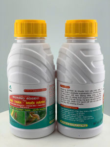 BOXING 405EC DIỆT TRỪ SAU ĐỤC THÂN - muỗi hành rầy nâu gây hại lúa