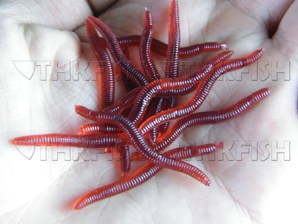 Litake 80pcs Earthworm Red Worms Soft Fishing Lure Baits