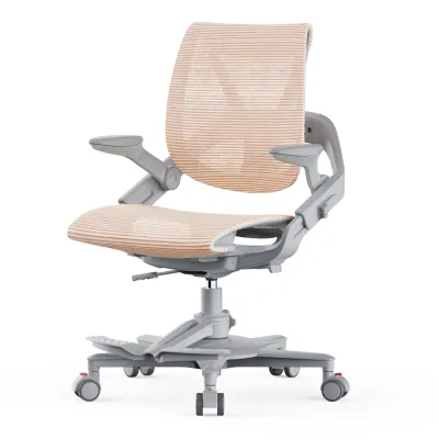Hinomi ZEE V2 Ergonomic Kids Chair Children Study Chair with Locking Wheels