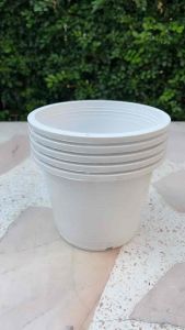 กระถางสีขาว 6 แพ็ค 5 ใบ ราคาถูก