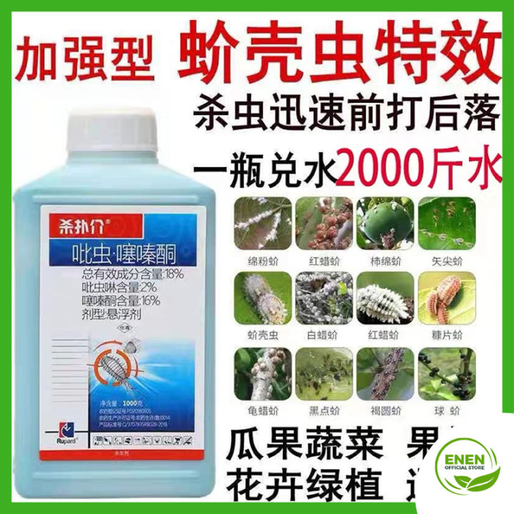 Racun Serangga Khusus untuk Kutu Perisai (Mealybug & Scale Insects ...