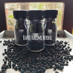 ANGKUNG (ANGKONG)KERING OBAT STROKE