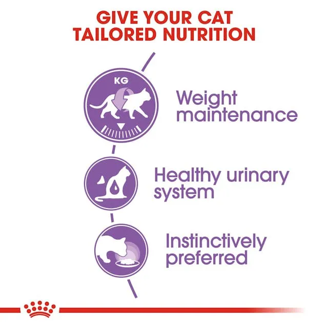 Royal%20Canin%20Sterilised%20%E0%B8%AD%E0%B8%B2%E0%B8%AB%E0%B8%B2%E0%B8%A3%E0%B9%81%E0%B8%A1%E0%B8%A7%E0%B9%81%E0%B8%9A%E0%B8%9A%E0%B9%80%E0%B8%9B%E0%B8%B5%E0%B8%A2%E0%B8%81%20(Jelly)%20%E0%B8%AA%E0%B8%B9%E0%B8%95%E0%B8%A3%E0%B9%80%E0%B8%89%E0%B8%9E%E0%B8%B2%E0%B8%B0%E0%B8%AA%E0%B8%B3%E0%B8%AB%E0%B8%A3%E0%B8%B1%E0%B8%9A%E0%B9%81%E0%B8%A1%E0%B8%A7%E0%B8%97%E0%B8%B3%E0%B8%AB%E0%B8%A1%E0%B8%B1%E0%B8%99%20(85g)%20-%20Image%204