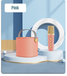 YS-101 Wireless Bluetooth Speaker Box Portable Family KTV Outdoor Karaoke Microphone Mini Singing Artifact