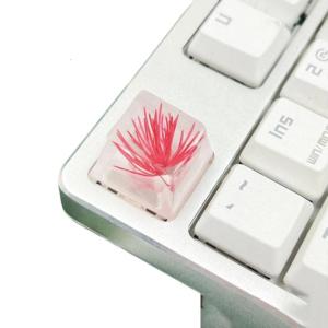 Resin Keycap Feature Pine Blossom Flower for Mechanical Keyboard Keycap Replacement Elegent ESC Keycap