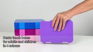 Kids Lunch Container Divided Sections Leak Proof Microwave Safe Storage Box Portable Salad Dish for Travel Office