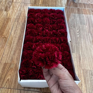 Hoa sáp cẩm chướng (50 Bông) đa dạng màu sắc dùng để cắm hoa bó hoa và làm quà tặng