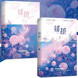 正版现货 错撩 以愛為營原创小说『我喜欢现在的自己 我怀念过去的我们』人气言情新作