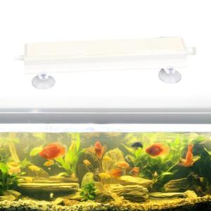 ฟองอากาศออกซิเจนบาร์หินพิพิธภัณฑ์สัตว์น้ำถังปลามีฟองหินให้ออกซิเจนให้ออกซิเจนในบาร์ฟอง