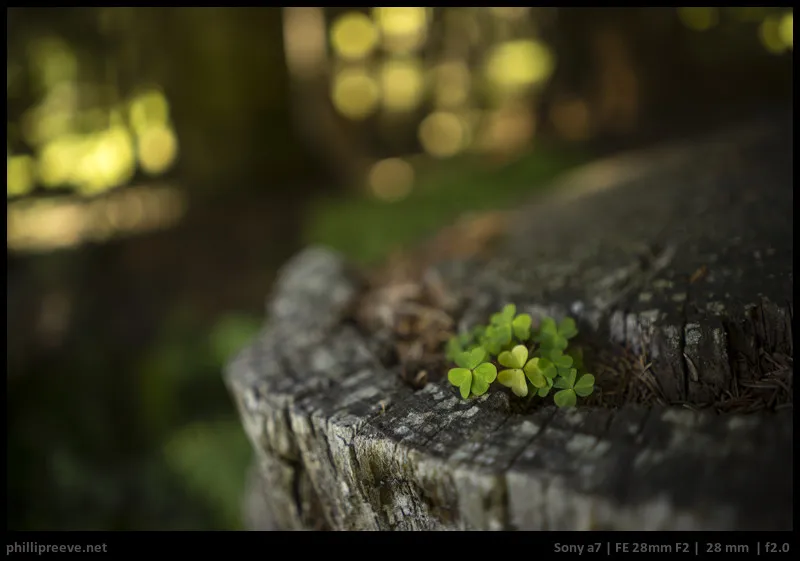 Sony FE 28mm f/2 Lens Year Warranty Lazada