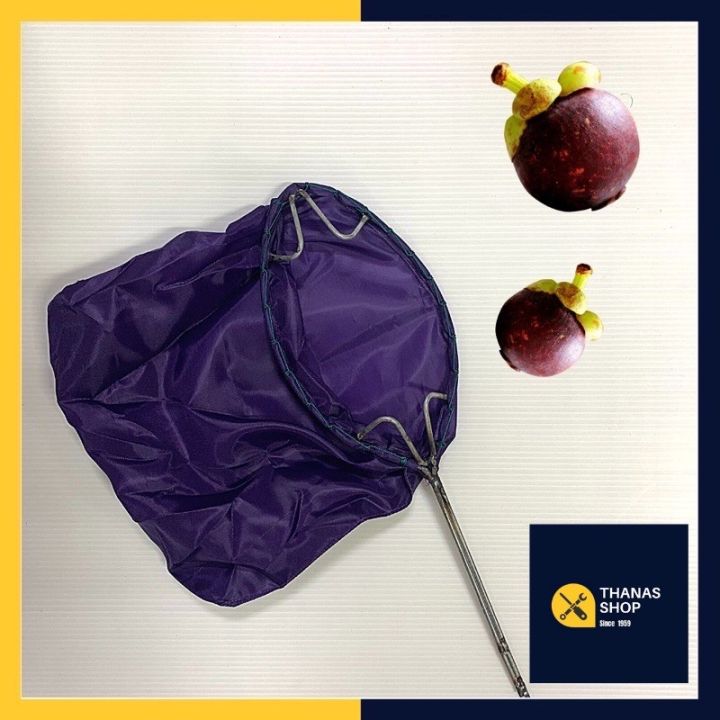 ตะกร้อสอยมังคุดทำจากผ้ามีง่าม สำหรับเก็บมังคุดโดยเฉพาะ