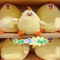 25-85cm Dundun Chicken Plush Toy MINISO Nap Pillow Super Soft and Cute Plush Chickling Style Adorable Stuffed Animal 24.5*20*23/20*20*35 cm. 