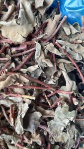 Cây Lá Hà Thủ Ô Khô / 1kg